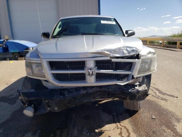 2011 Dodge Dakota SLT