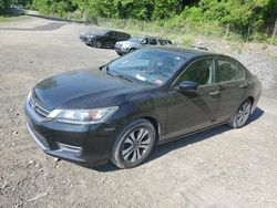 Honda Accord Vehiculos salvage en venta: 2013 Honda Accord LX