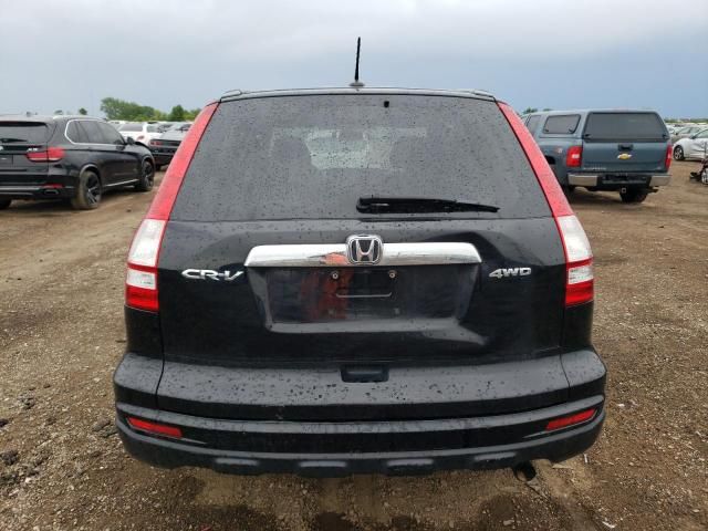 2010 Honda Cr-v exl