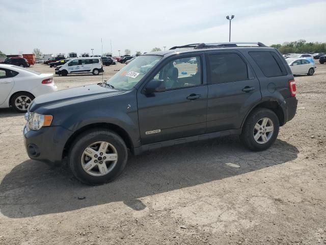 2008 Ford Escape HEV