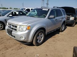 2009 Ford Escape Hybrid for sale in Elgin, IL