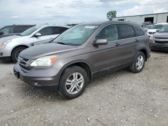 2010 Honda CR-V EXL