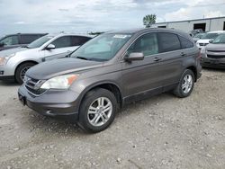 Honda crv salvage cars for sale: 2010 Honda CR-V EXL