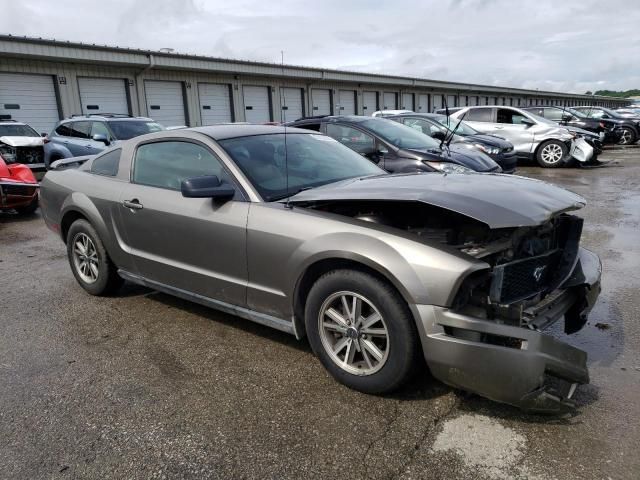 2005 Ford Mustang