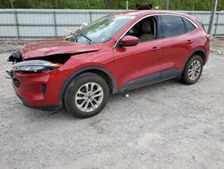 Ford Escape se salvage cars for sale: 2020 Ford Escape SE