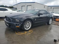 Salvage cars for sale from Copart New Orleans, LA: 2013 Ford Mustang