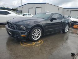 Vehiculos salvage en venta de Copart New Orleans, LA: 2013 Ford Mustang