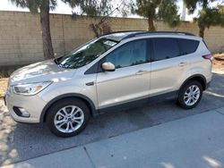 2017 Ford Escape SE en venta en Rancho Cucamonga, CA