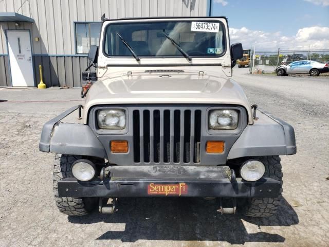 1995 Jeep Wrangler / YJ Sahara