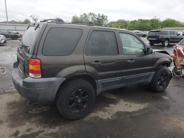 2007 Ford Escape XLT