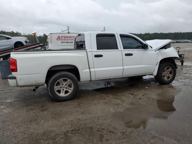 2010 Dodge Dakota SXT