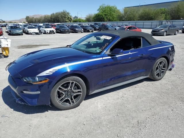 2019 Ford Mustang