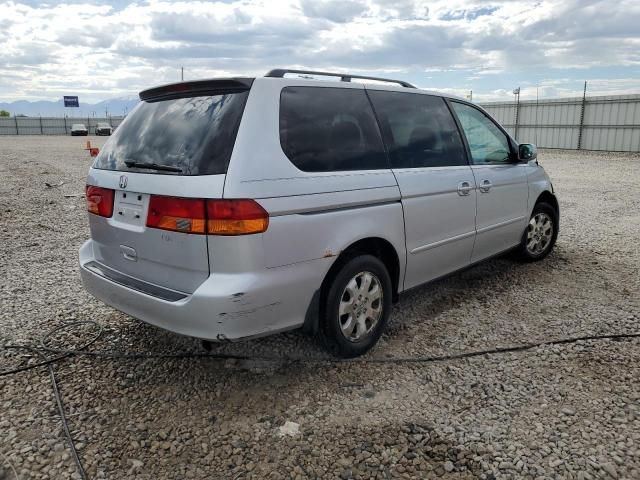 2002 Honda Odyssey EXL