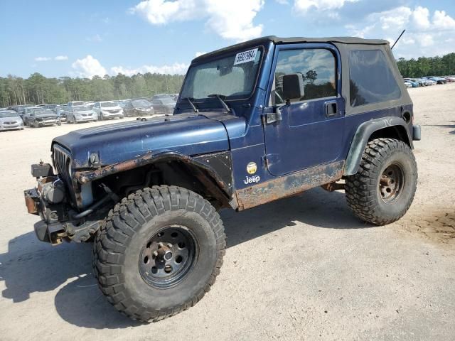 2002 Jeep Wrangler / TJ X