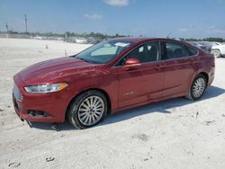 2014 Ford Fusion SE Hybrid for sale in Arcadia, FL