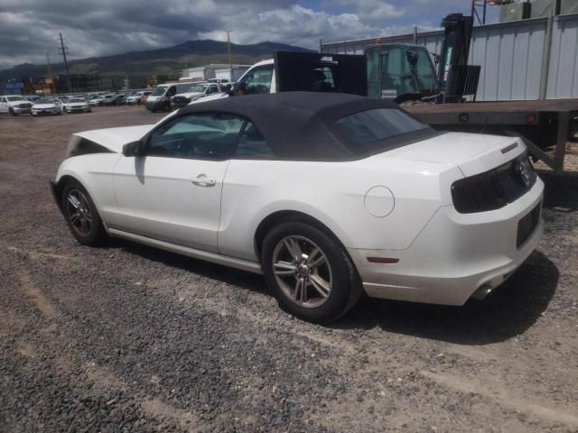 2013 Ford Mustang