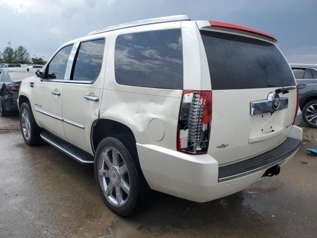 2008 Cadillac Escalade Luxury