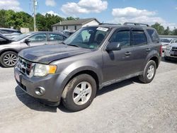 2012 Ford Escape XLT en venta en York Haven, PA