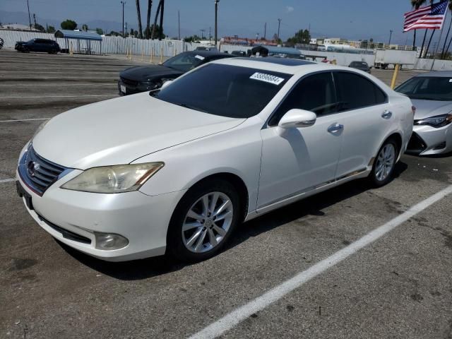 2010 Lexus ES 350