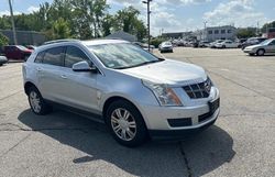 Cadillac salvage cars for sale: 2011 Cadillac SRX Luxury Collection