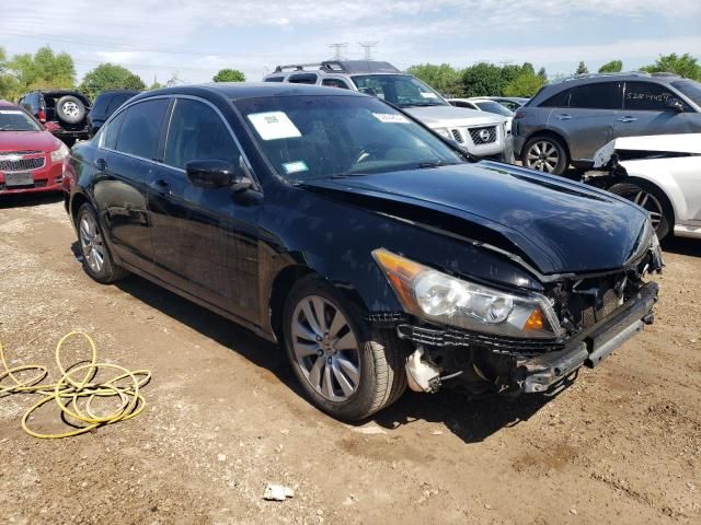 2011 Honda Accord EXL