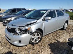 Salvage cars for sale from Copart Magna, UT: 2010 Toyota Corolla Base