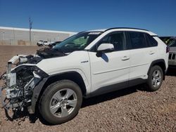 2020 Toyota Rav4 XLE for sale in Phoenix, AZ