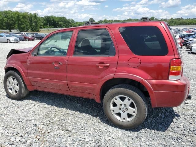 2007 Ford Escape Limited