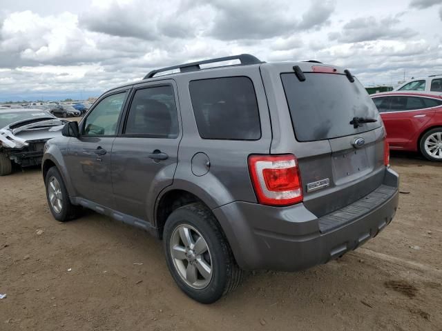 2009 Ford Escape XLT