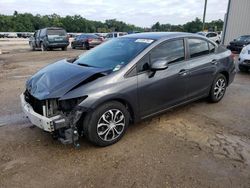 Honda Civic lx Vehiculos salvage en venta: 2013 Honda Civic LX