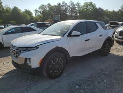 2023 Hyundai Santa Cruz SEL en venta en Madisonville, TN