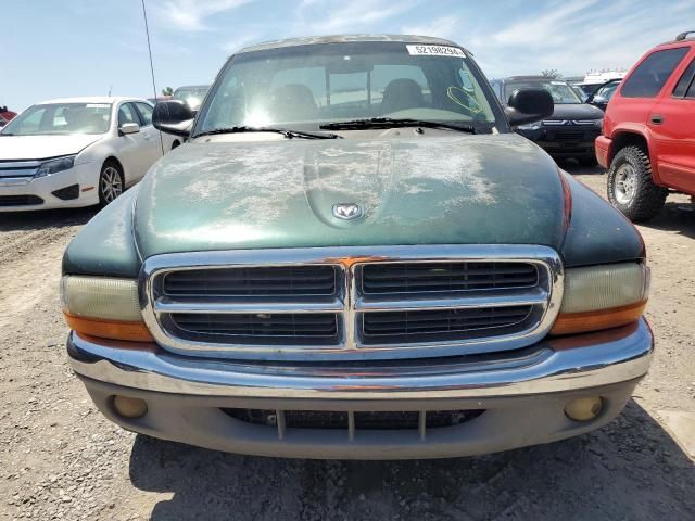 2002 Dodge Dakota SLT