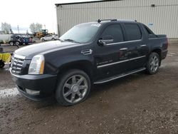 Salvage cars for sale from Copart Rocky View County, AB: 2008 Cadillac Escalade EXT