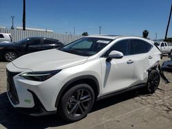 Lexus salvage cars for sale: 2022 Lexus NX 450H