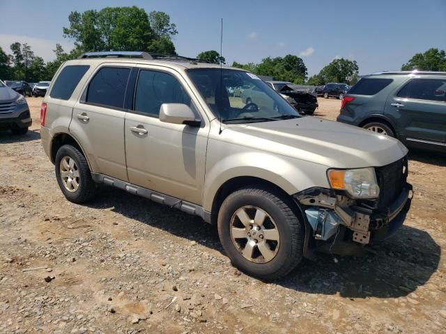 2011 Ford Escape Limited