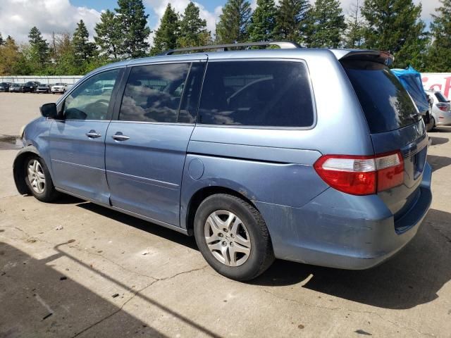 2005 Honda Odyssey EXL