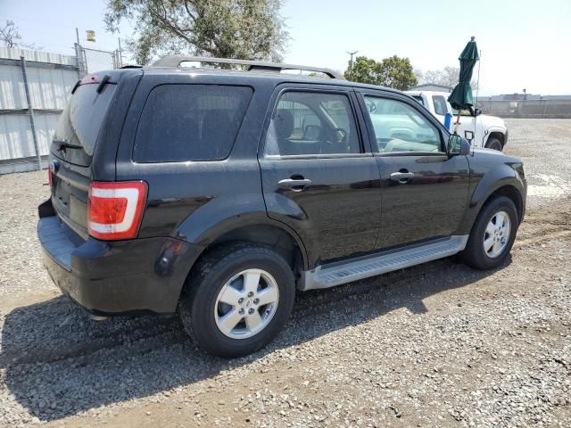 2010 Ford Escape XLT