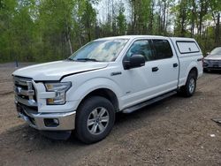 Ford salvage cars for sale: 2015 Ford F150 Supercrew