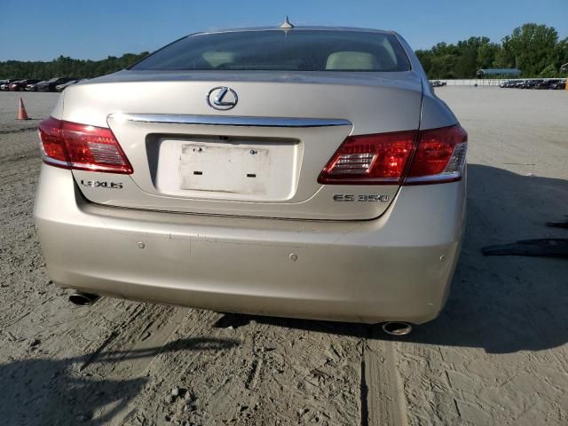 2010 Lexus ES 350