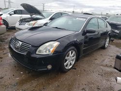 2005 Nissan Maxima SE en venta en Elgin, IL