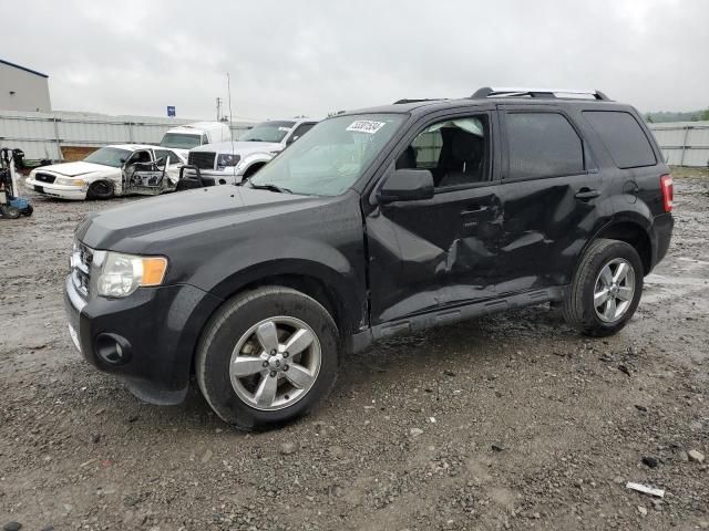 2011 Ford Escape Limited