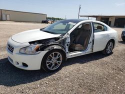 Nissan Maxima salvage cars for sale: 2014 Nissan Maxima S