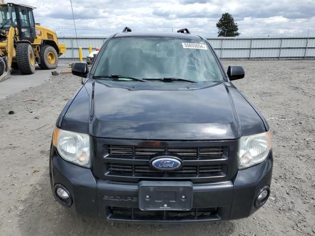 2008 Ford Escape Limited