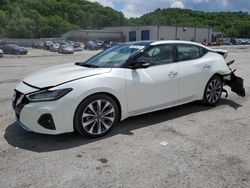 2023 Nissan Maxima Platinum for sale in Ellwood City, PA