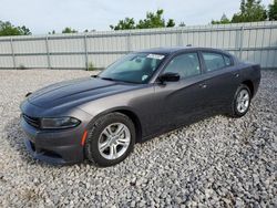 Dodge salvage cars for sale: 2023 Dodge Charger SXT