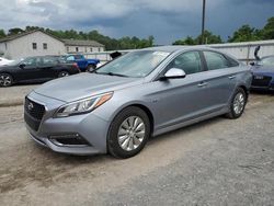 Salvage cars for sale from Copart York Haven, PA: 2016 Hyundai Sonata Hybrid