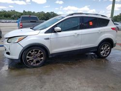 2013 Ford Escape SEL for sale in Apopka, FL