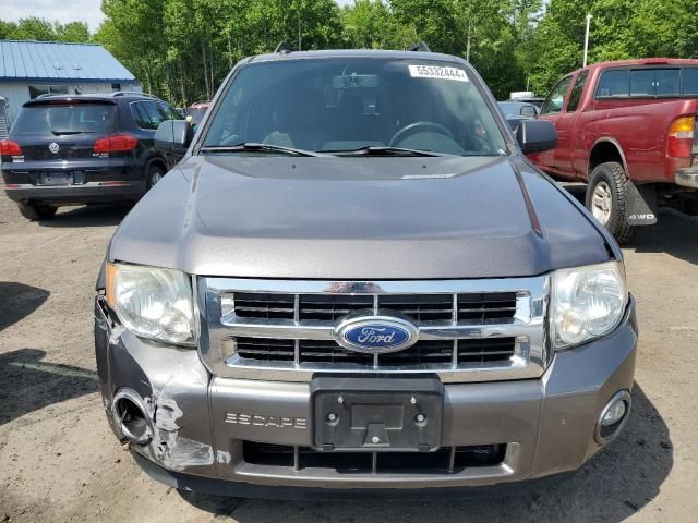 2011 Ford Escape XLT