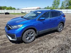 Salvage cars for sale from Copart Columbia Station, OH: 2021 Honda CR-V EXL
