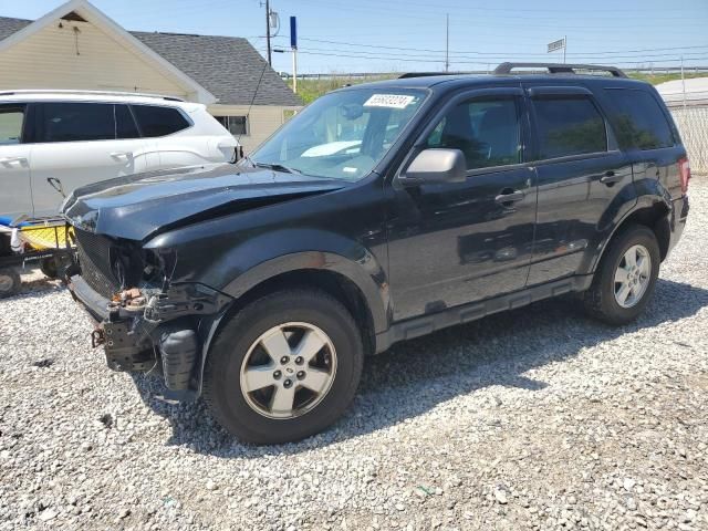 2011 Ford Escape XLT